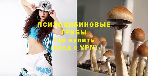 индика Гусь-Хрустальный