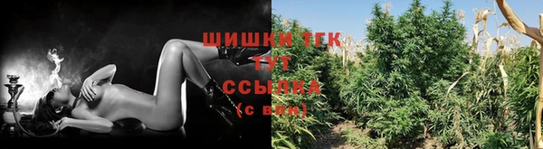 индика Гусь-Хрустальный