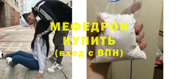 индика Гусь-Хрустальный