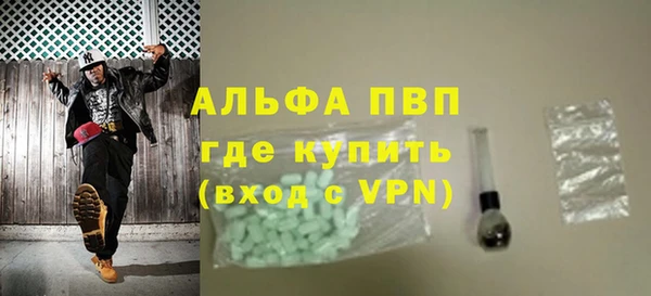 индика Гусь-Хрустальный