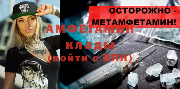 индика Гусь-Хрустальный