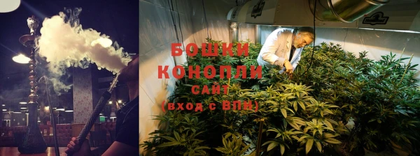 индика Гусь-Хрустальный
