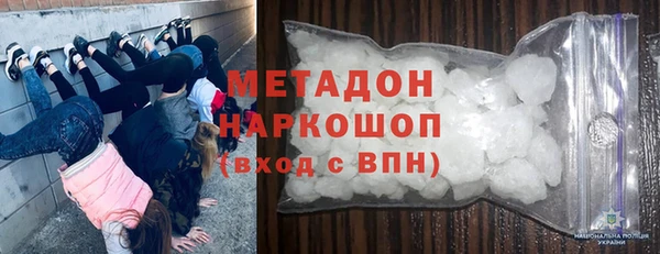 индика Гусь-Хрустальный