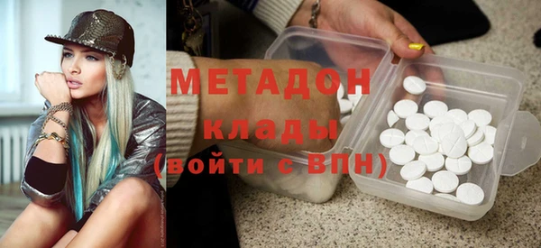 индика Гусь-Хрустальный