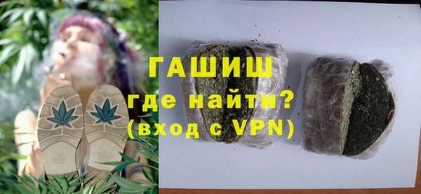 мдпв Инсар
