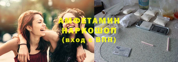 индика Гусь-Хрустальный